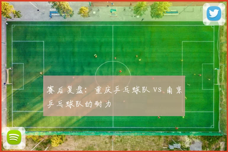 赛后复盘：重庆乒乓球队 vs 南京乒乓球队的耐力