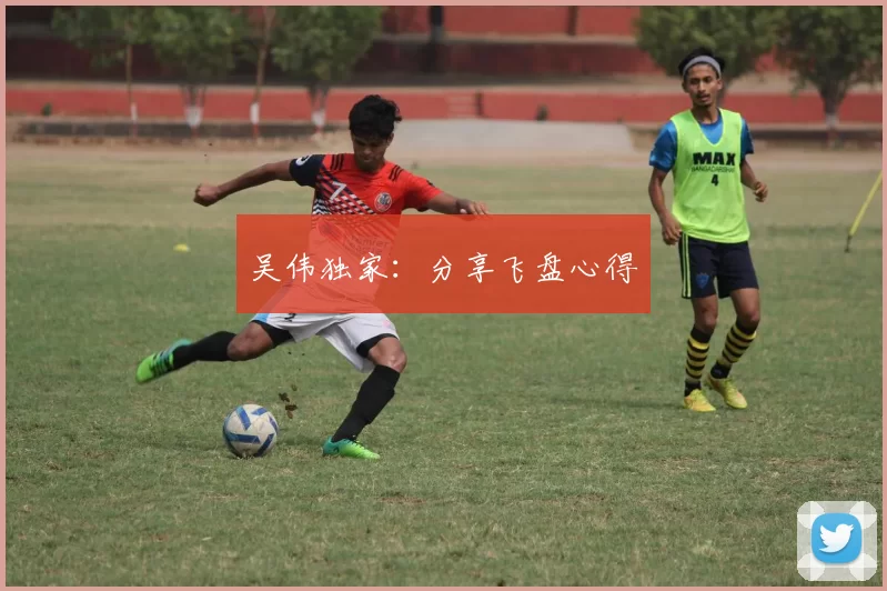 吴伟独家：分享飞盘心得