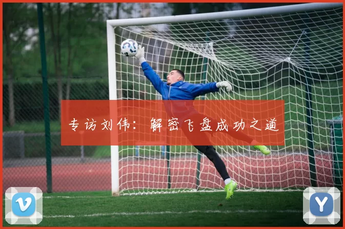 专访刘伟：解密飞盘成功之道