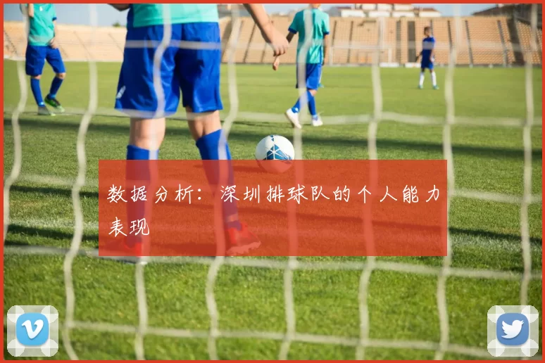 数据分析：深圳排球队的个人能力表现