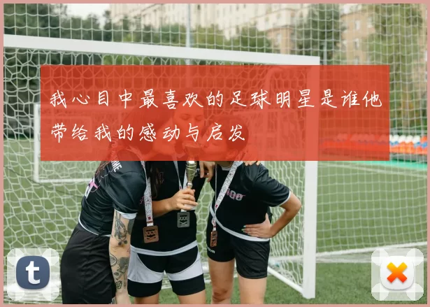 我心目中最喜欢的足球明星是谁他带给我的感动与启发