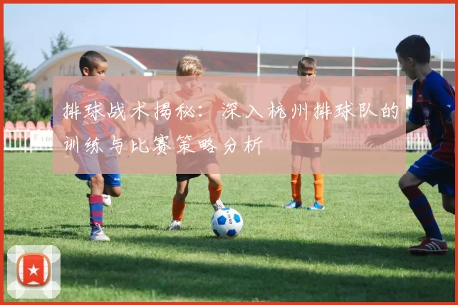 排球战术揭秘：深入杭州排球队的训练与比赛策略分析