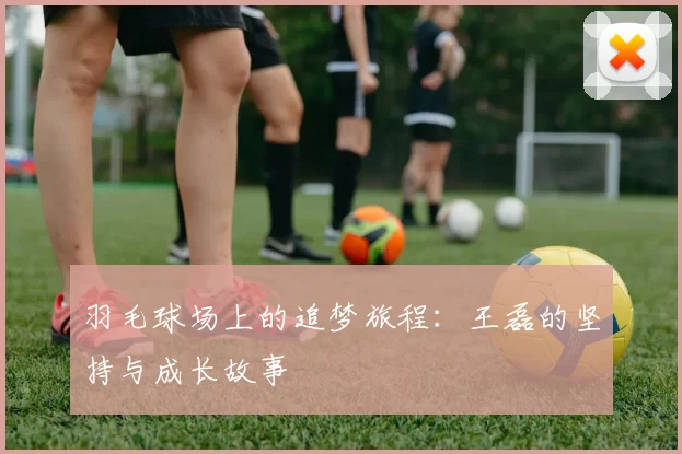 羽毛球场上的追梦旅程：王磊的坚持与成长故事