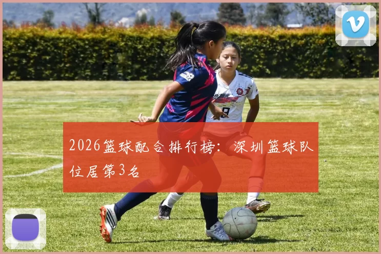 2026篮球配合排行榜：深圳篮球队位居第3名
