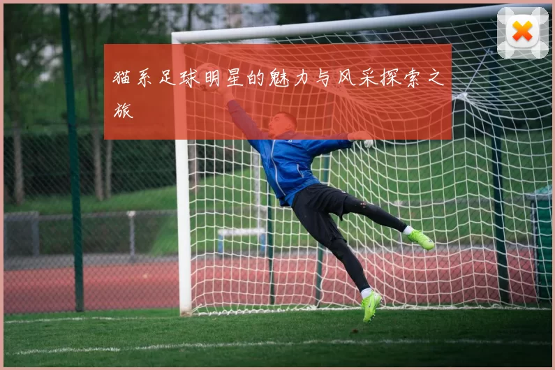 猫系足球明星的魅力与风采探索之旅