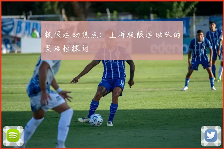 极限运动焦点：上海极限运动队的灵活性探讨