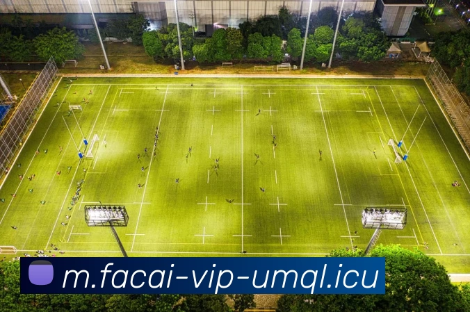 爱游戏体育发展历程