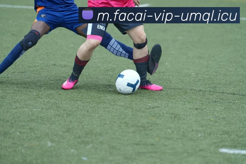 赛后分析：广州网球队与成都网球队的默契配合与战术探讨